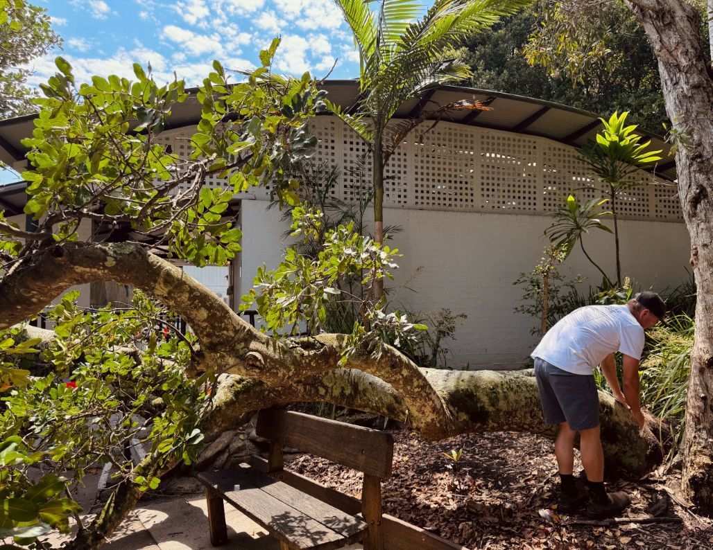A man is standing next to a fallen tree branch — Lennox Head Tree Care In Lennox Head, NSW