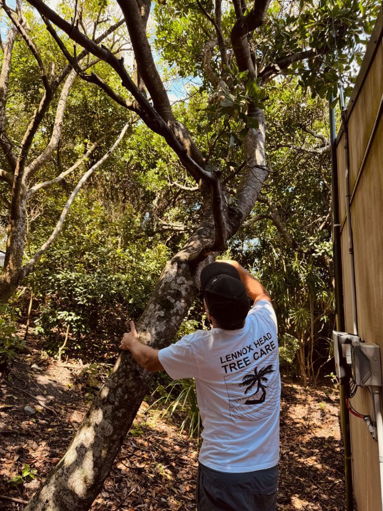 A man in a white t-shirt is standing next to a tree — Lennox Head Tree Care In Lennox Head, NSW