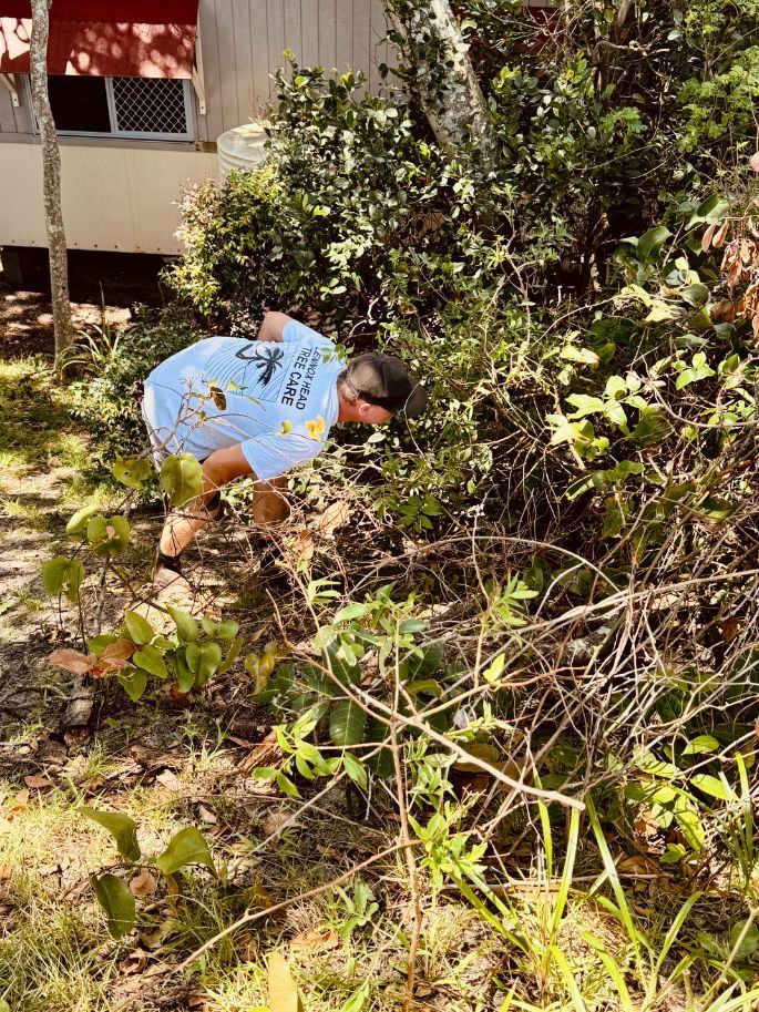 A man in a blue shirt is kneeling down in the grass  — Lennox Head Tree Care In Lennox Head, NSW