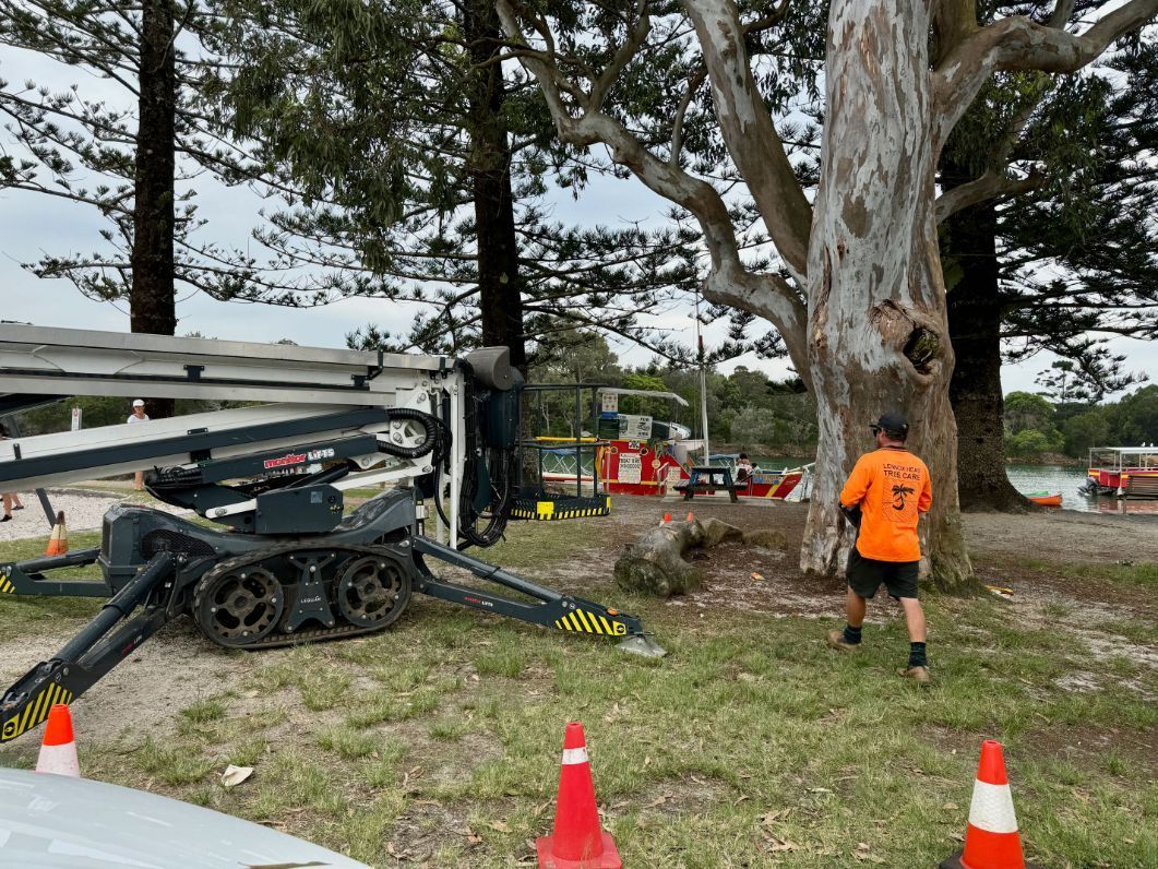 A man in an orange shirt is standing in front of a tree  — Lennox Head Tree Care In Lennox Head, NSW