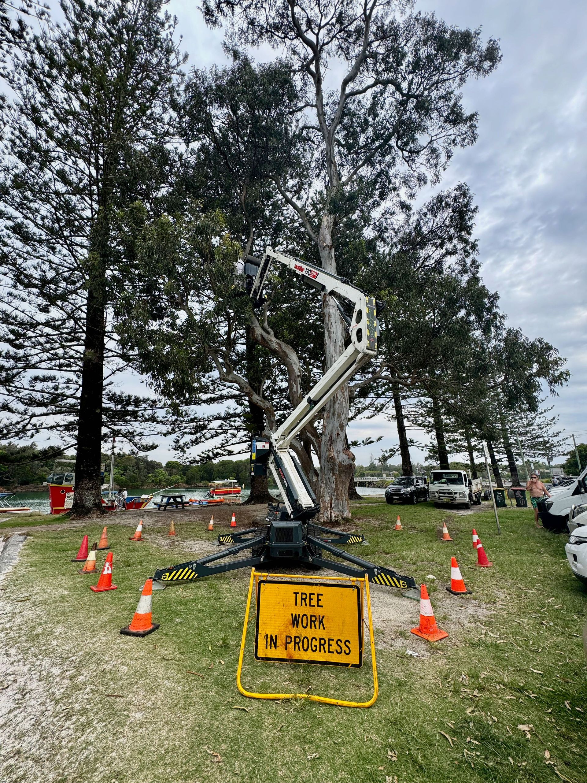 A Fallen Tree In A Yard With A House In The Background — Lennox Head Tree Care In Lennox Head, NSW