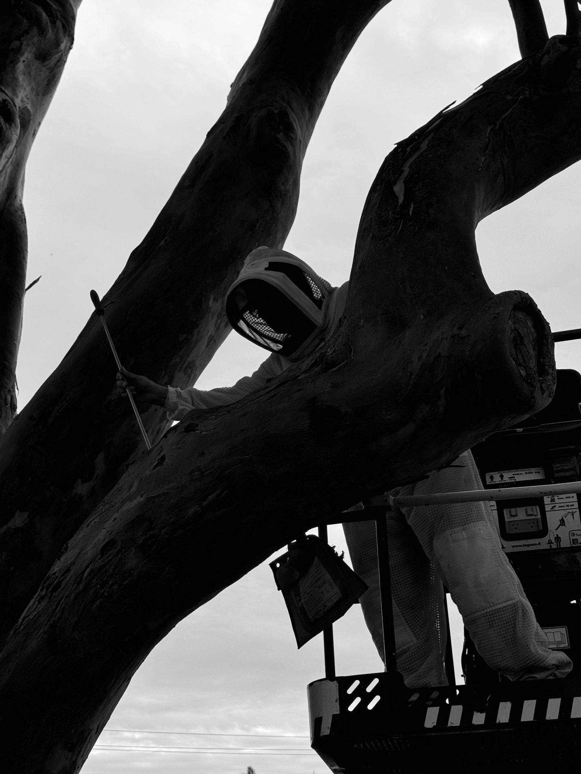 A Chainsaw Is Sitting On Top Of A Log — Lennox Head Tree Care In Byron Bay, NSW