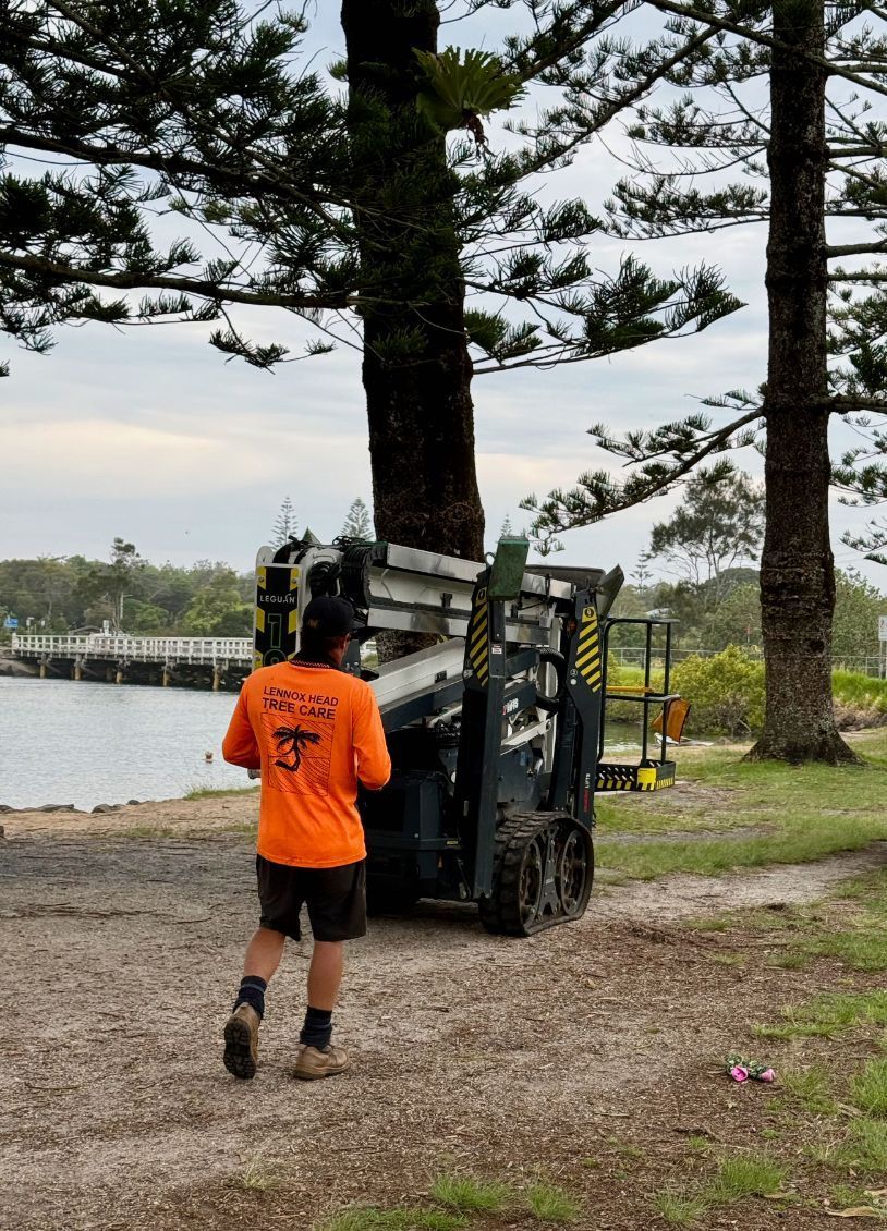 A man is walking towards a forklift with a large tree in the background — Lennox Head Tree Care In Lennox Head, NSW
