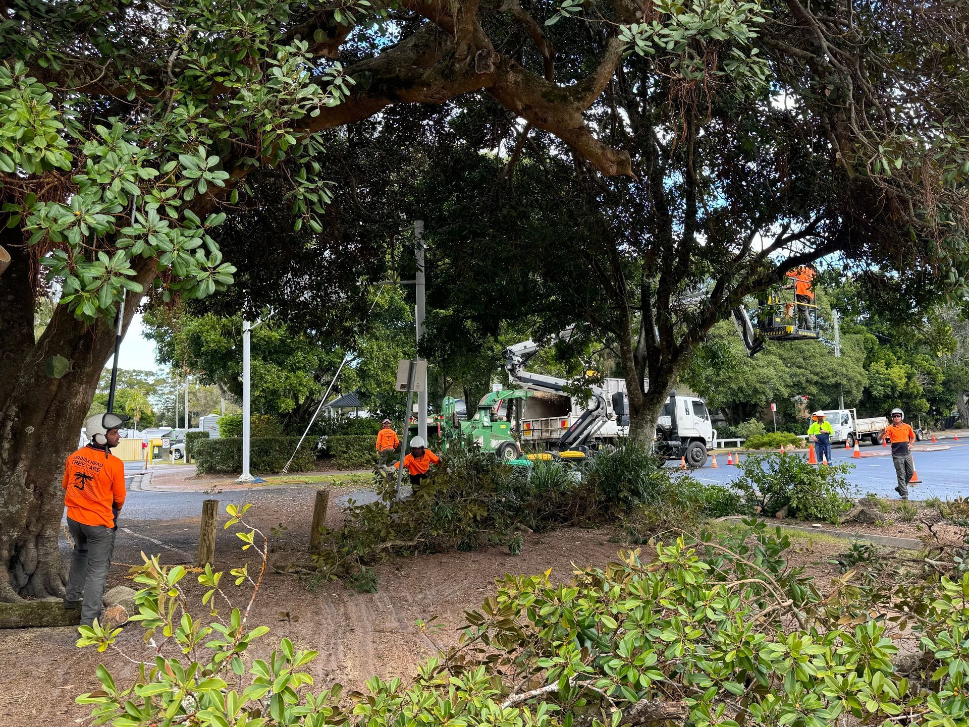 A Person Is Cutting A Tree Branch With A Pair Of Scissors — Lennox Head Tree Care In Bangalow, NSW