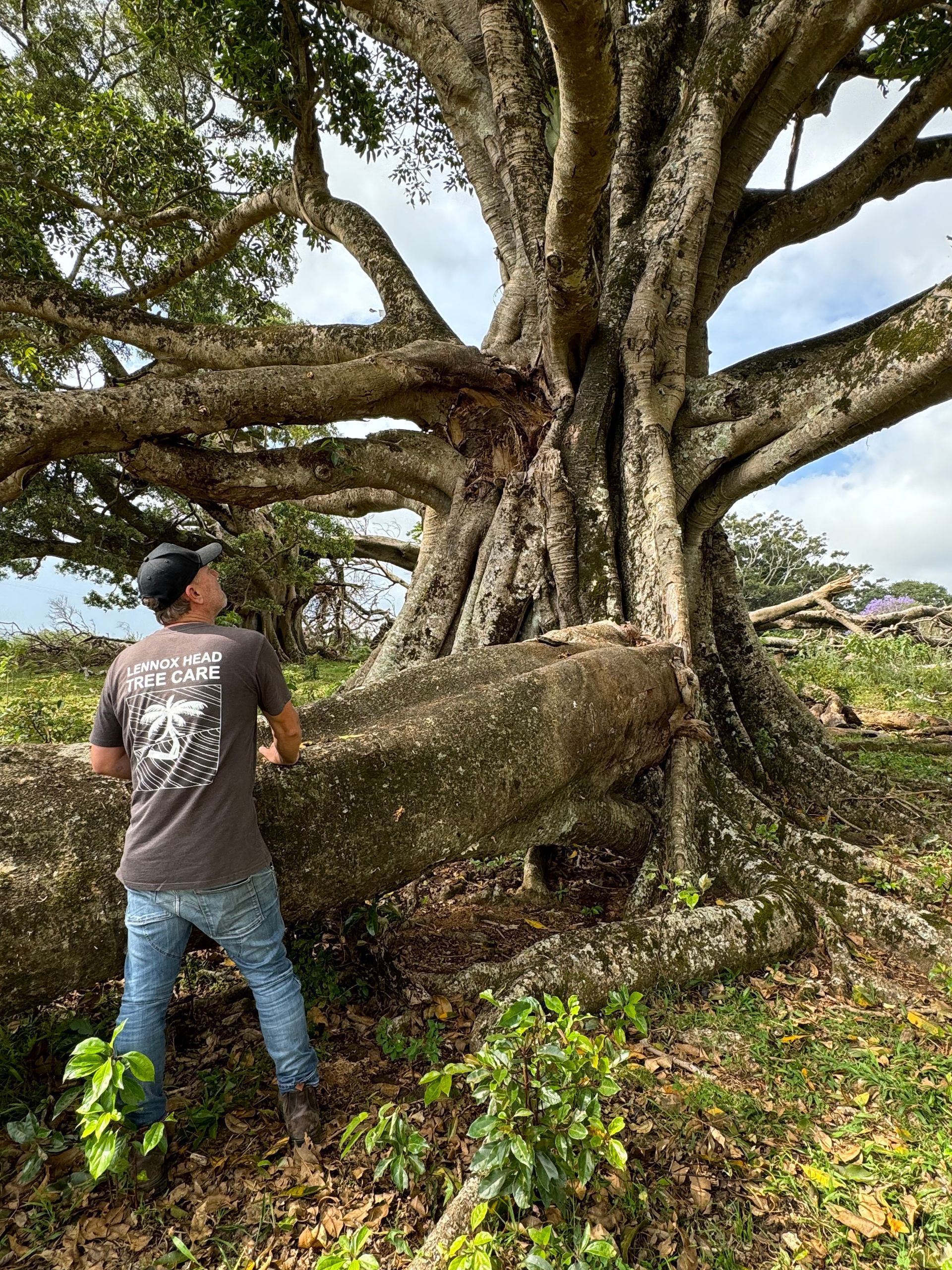 A Tree Stump Grinder Is Cutting A Tree Stump In A Yard — Lennox Head Tree Care In Lennox Head, NSW