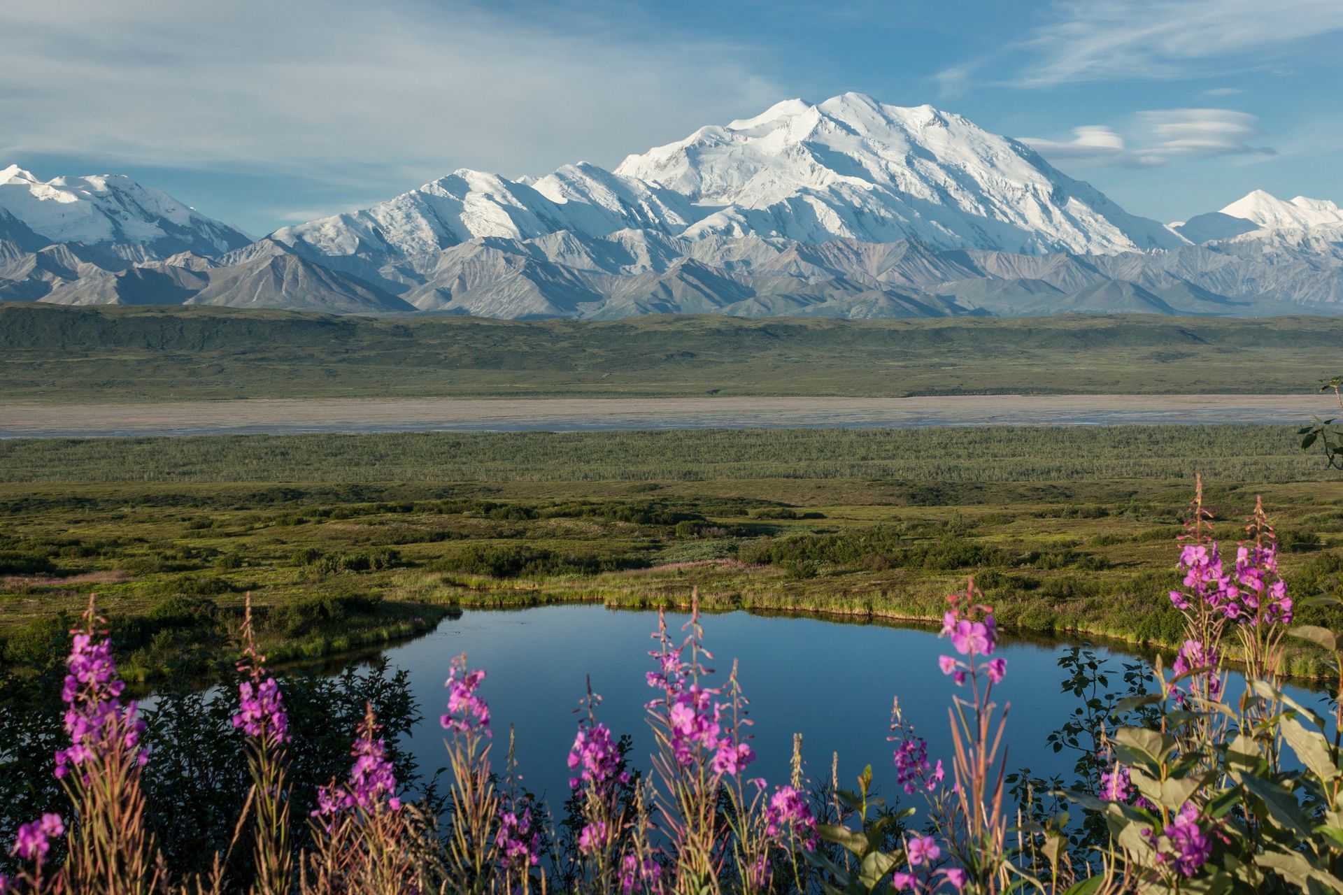 Denali National Park