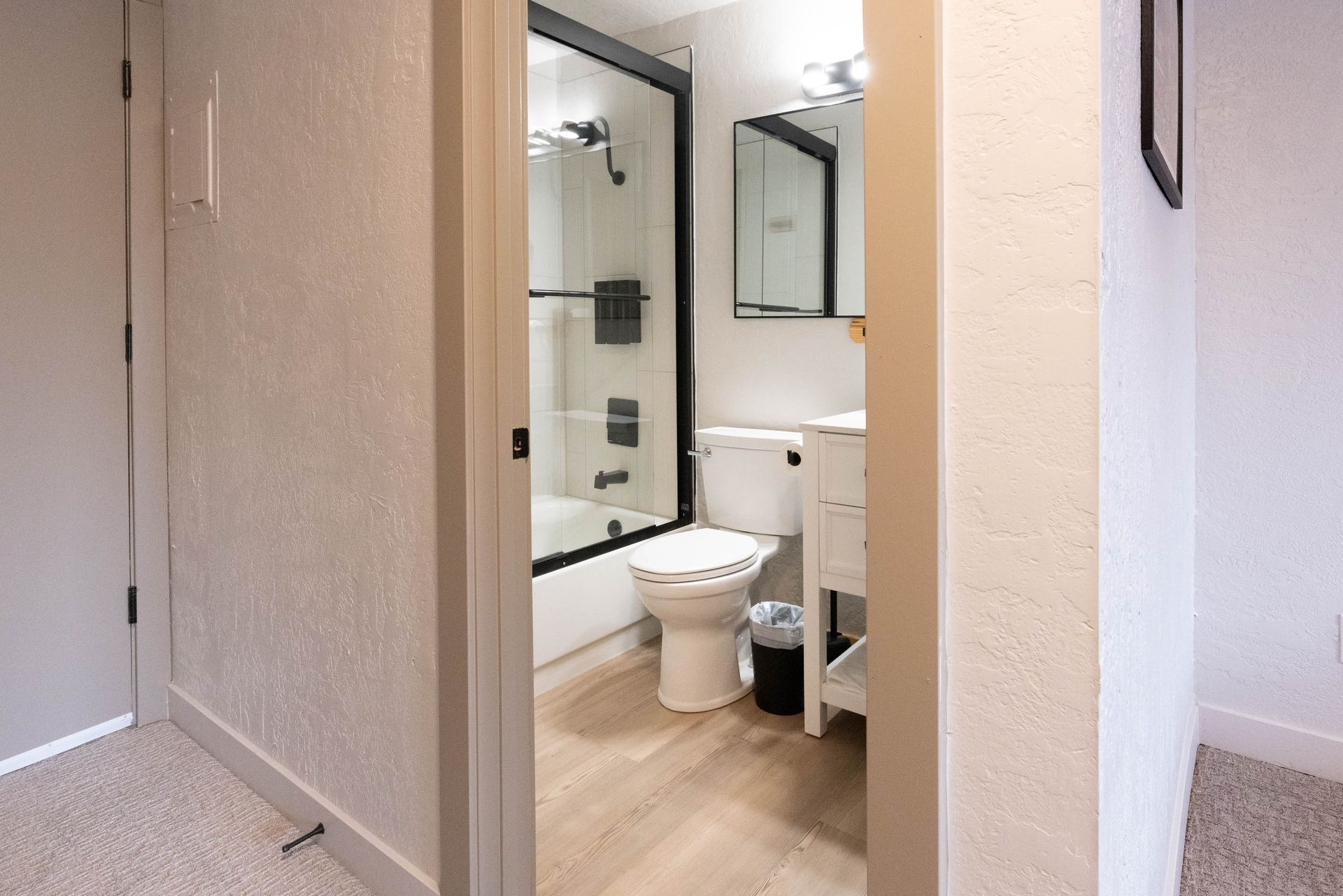 Small bathroom with white toilet, sink, mirror, and glass shower door in a narrow hallway