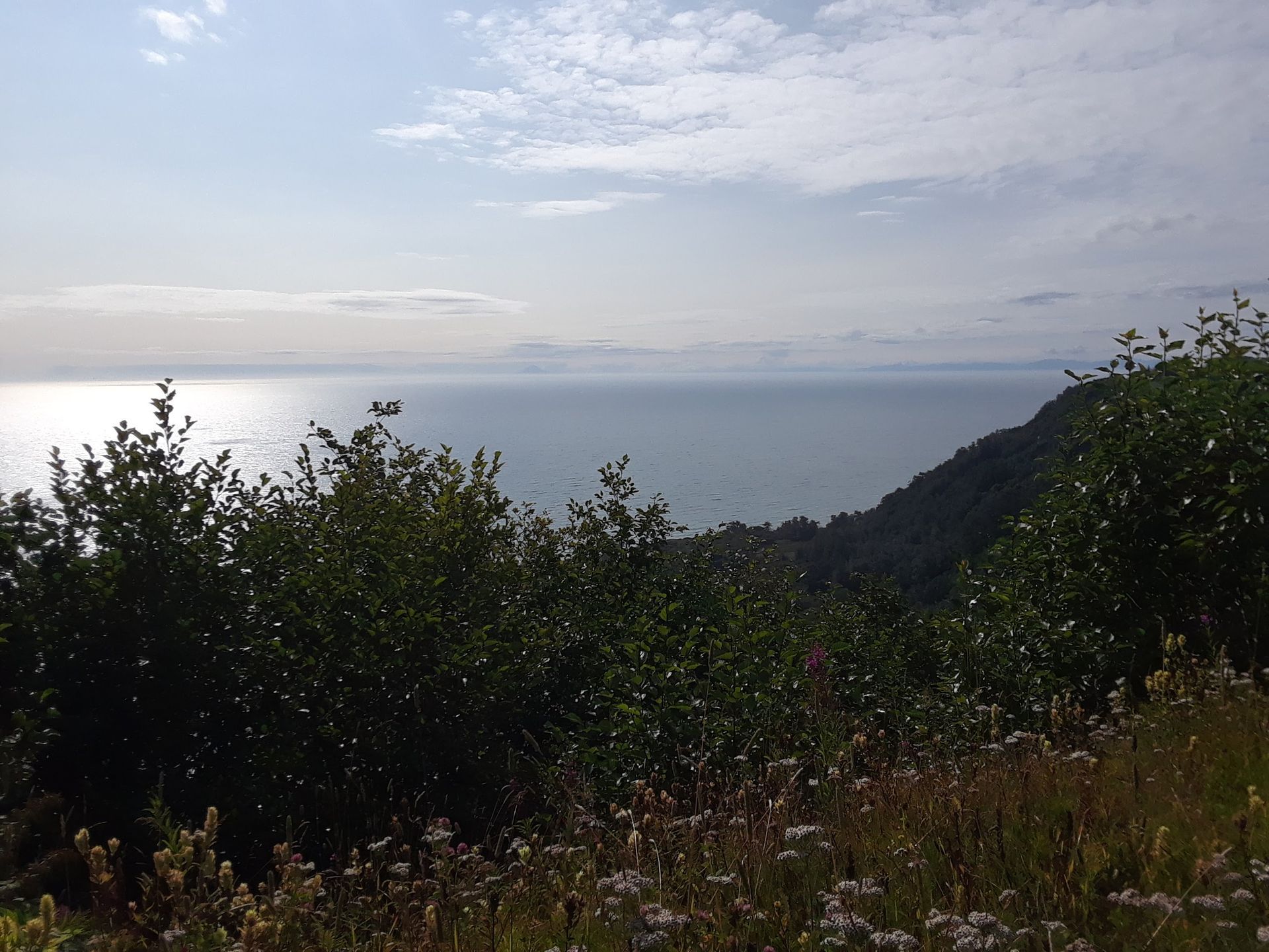Kachemak Bay