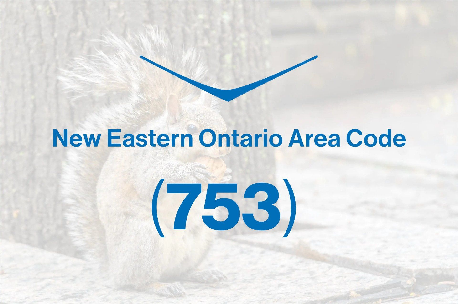 A new eastern ontario area code sign with a squirrel in the background