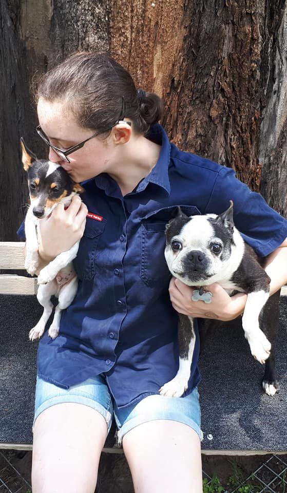 About Us Spring Creek Boarding Kennels And Cattery