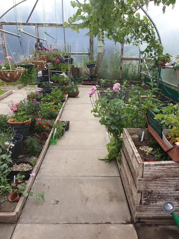 Sacred Heart Garden