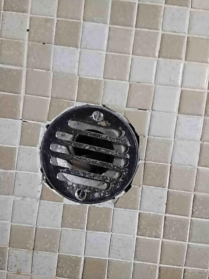 Bathroom Drain