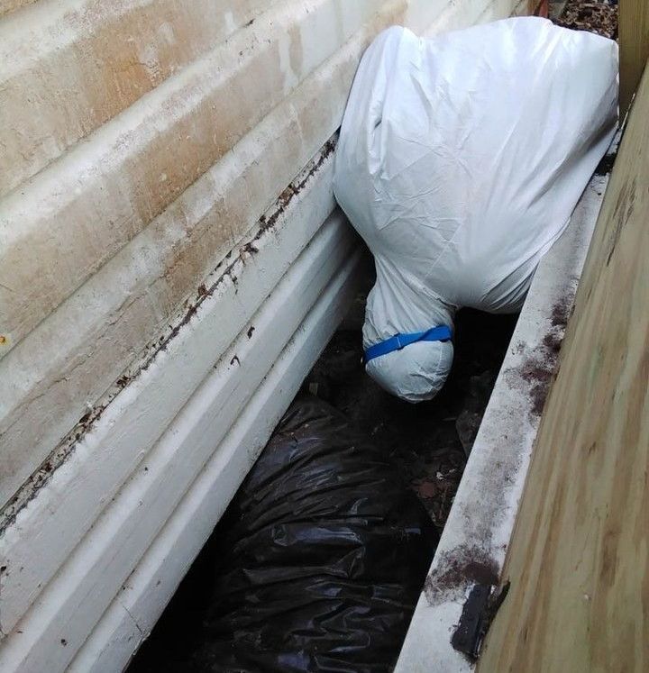 Home Inspection