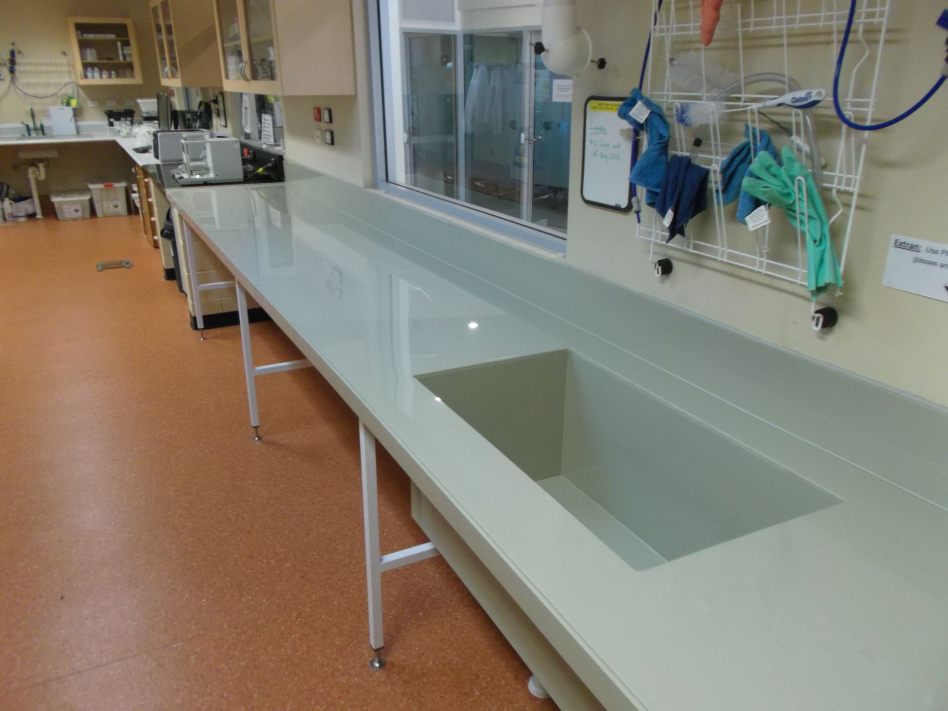 Clean laboratory counter with sink and hanging gloves in a bright room — Advanced Poly in Darwin, NT
