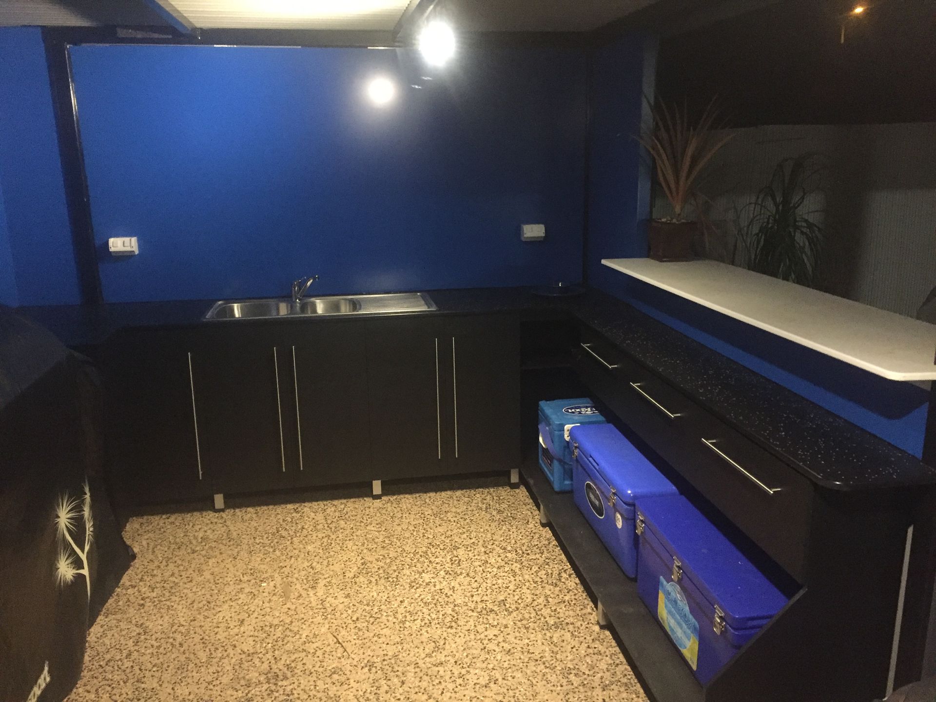 Blue-walled garage with black cabinets, countertop, and blue storage bins along the right side. — Advanced Poly in Darwin, NT — Advanced Poly in Darwin, NT — Advanced Poly in Darwin, NT — Advanced Poly in Darwin, NT — Advanced Poly in Darwin, NT 
