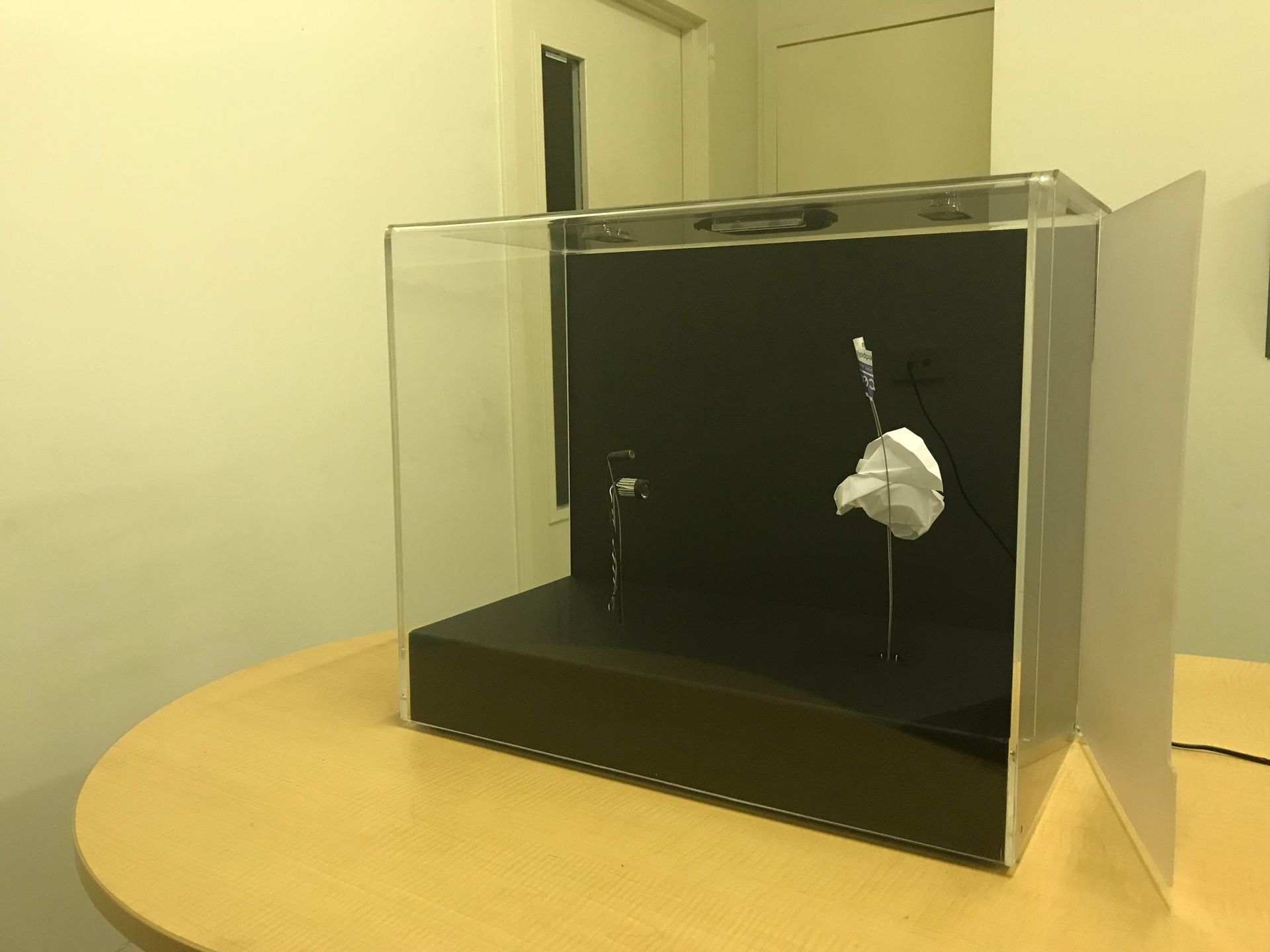 Transparent display case with a black interior and a small white object on a table — Advanced Poly in Darwin, NT — Advanced Poly in Darwin, NT 