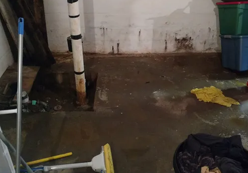 sewage backup