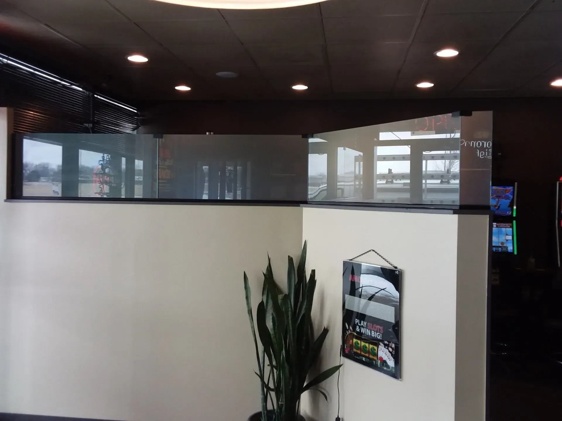 Office lobby with white partition, tall plant, glass wall, and a wall-mounted brochure holder.