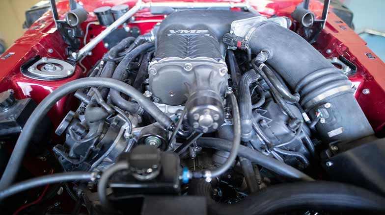 Coyote in 1970 Mustang