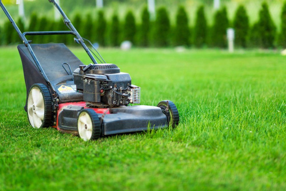 Lawn Mower — Farm Equipment Experts In Mullumbimby, NSW