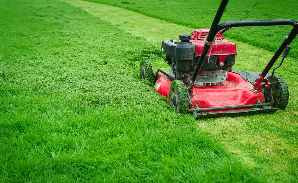 A Red Lawn Mower is Cutting a Lush Green Lawn — FarmCare in Mullumbimby, NSW