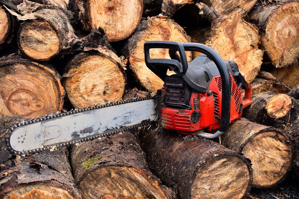 Red Chainsaw — FarmCare in Mullumbimby, NSW