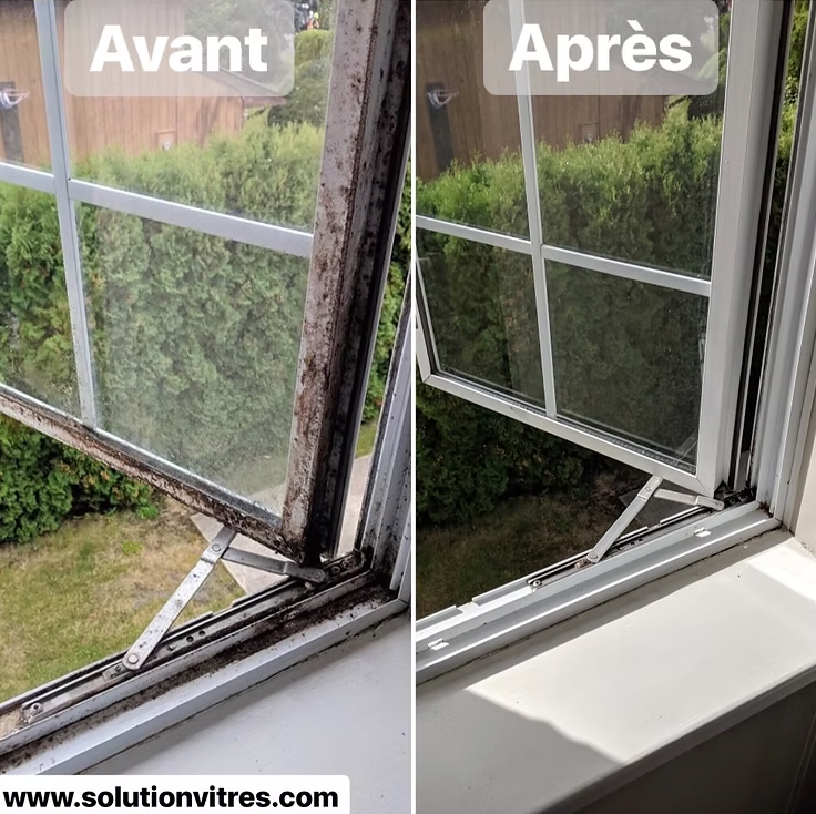 Fenêtre en bois, avant/après: cadre détérioré puis réparé, avec vue sur le jardin.