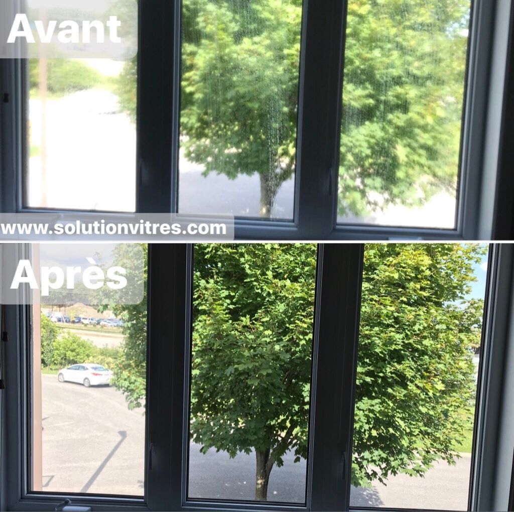 Vue avant et après par la fenêtre : arbre visible à travers les vitres inférieures plus propres, avec les étiquettes « Avant » et « Après ».