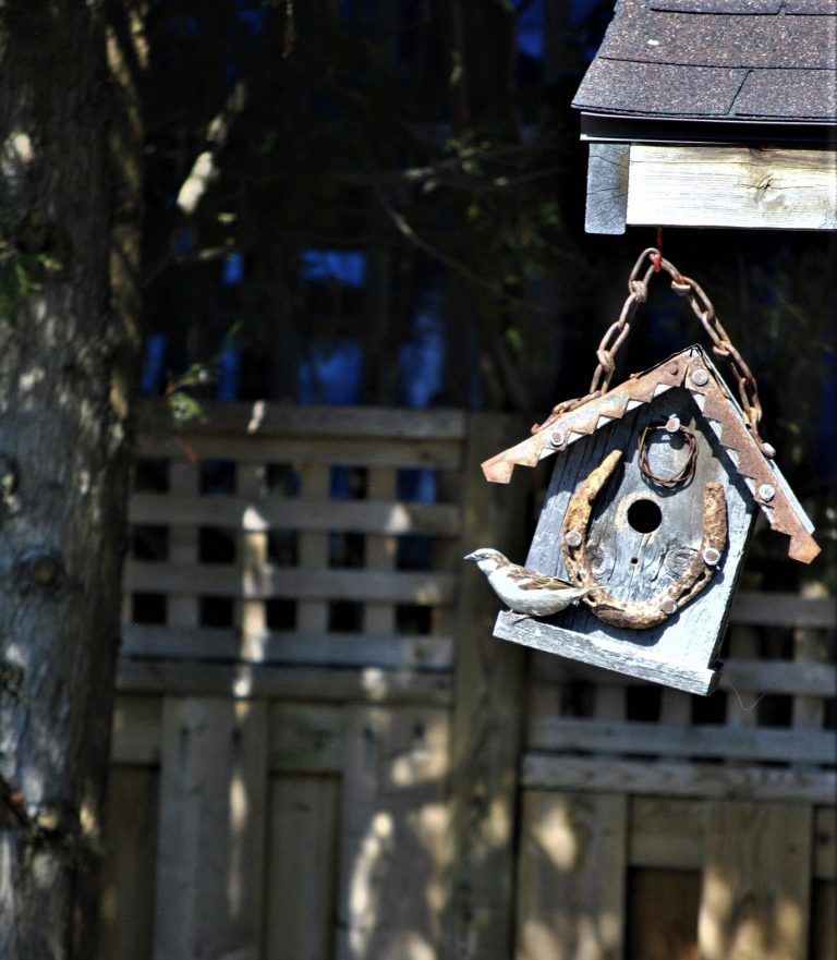 Sparrow house
