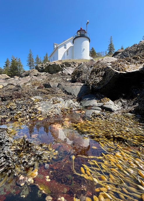 A lighthouse is sitting on top of a rocky hill next to a body of water.