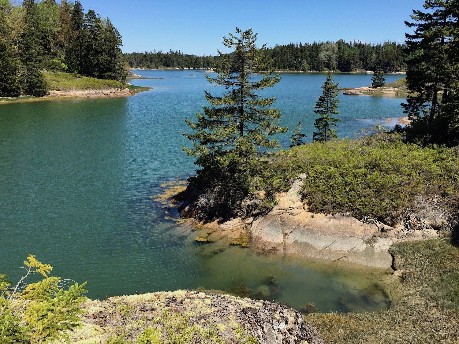 A lake surrounded by trees and rocks on a sunny day
