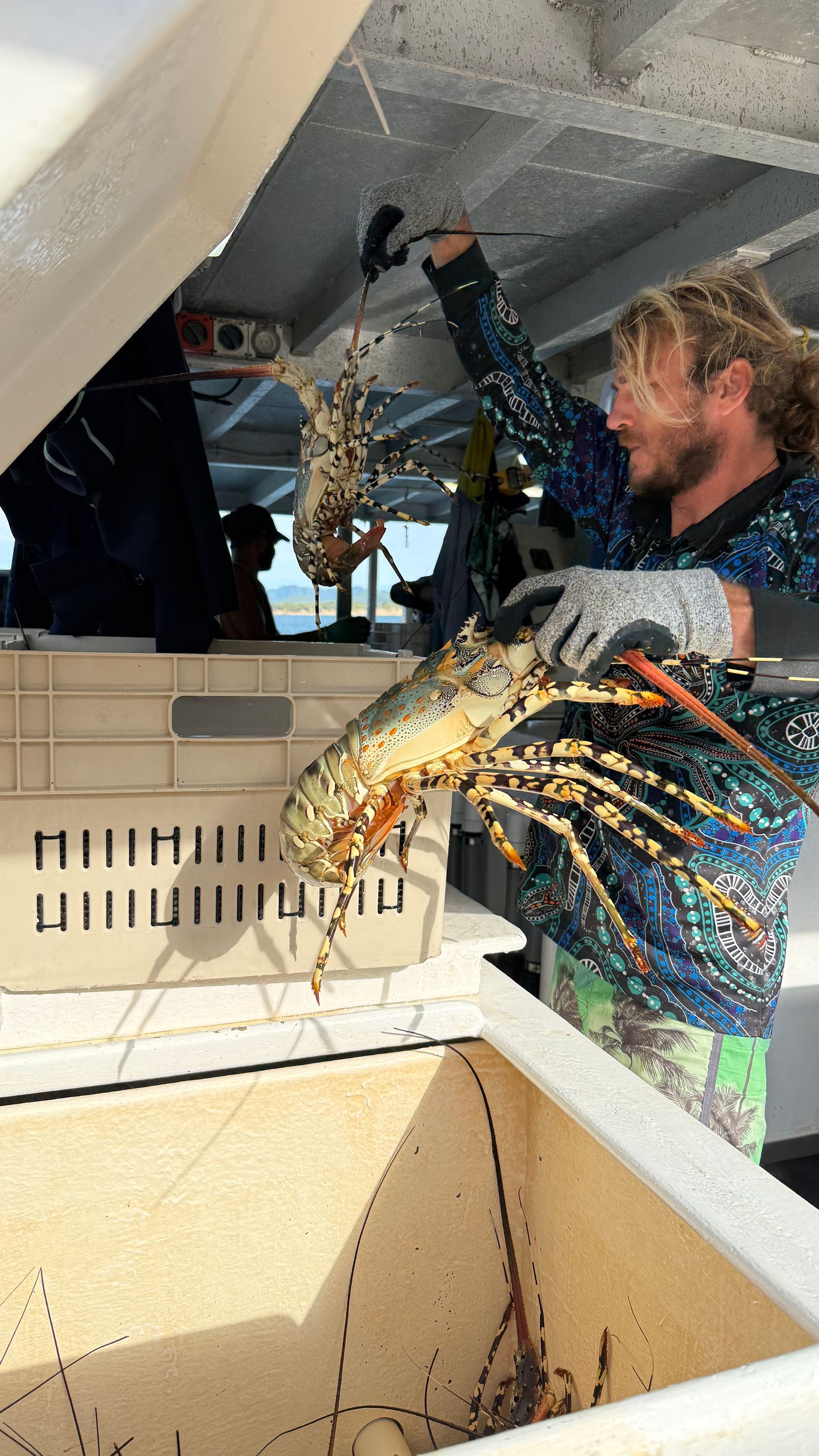 Jacinta's partner a commercial crayfish diver holding a large Tropical Rock Lobster aboard a commercial fishing boat.