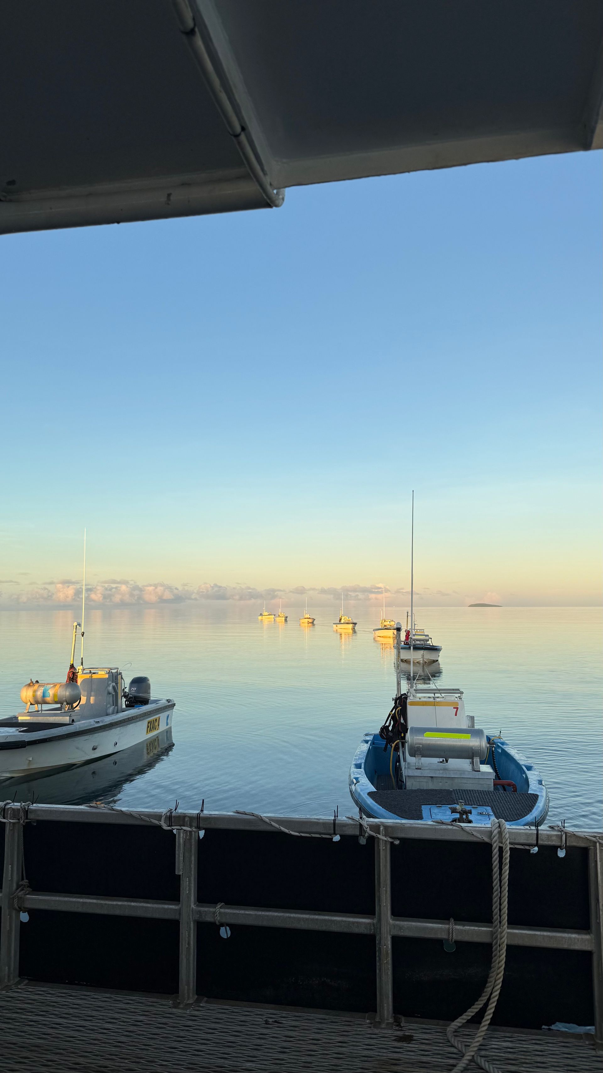 Two boats docked on calm water at sunrise, with a clear sky and distant ships on the horizon.