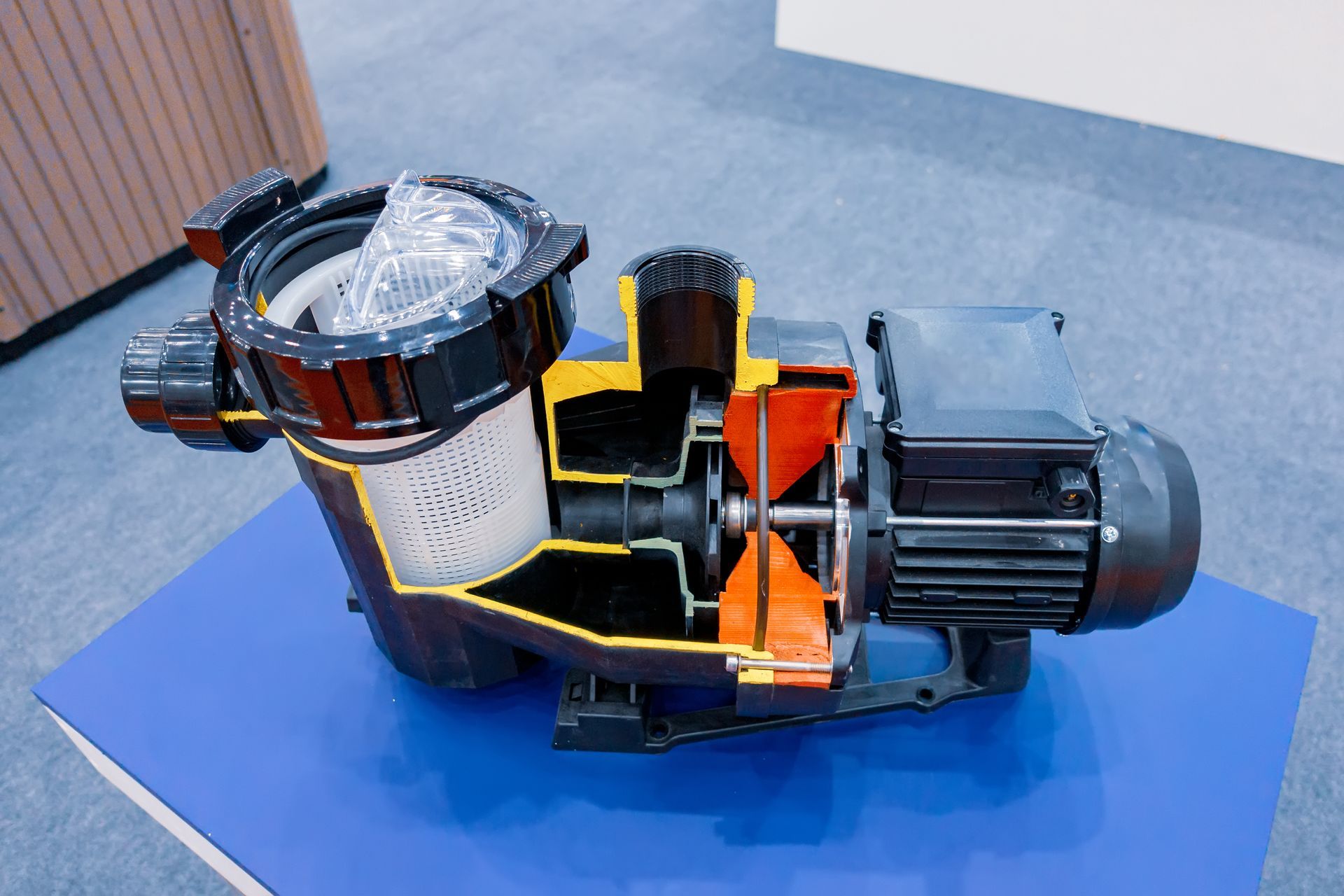 A model of a swimming pool pump cut in half on a blue mat.