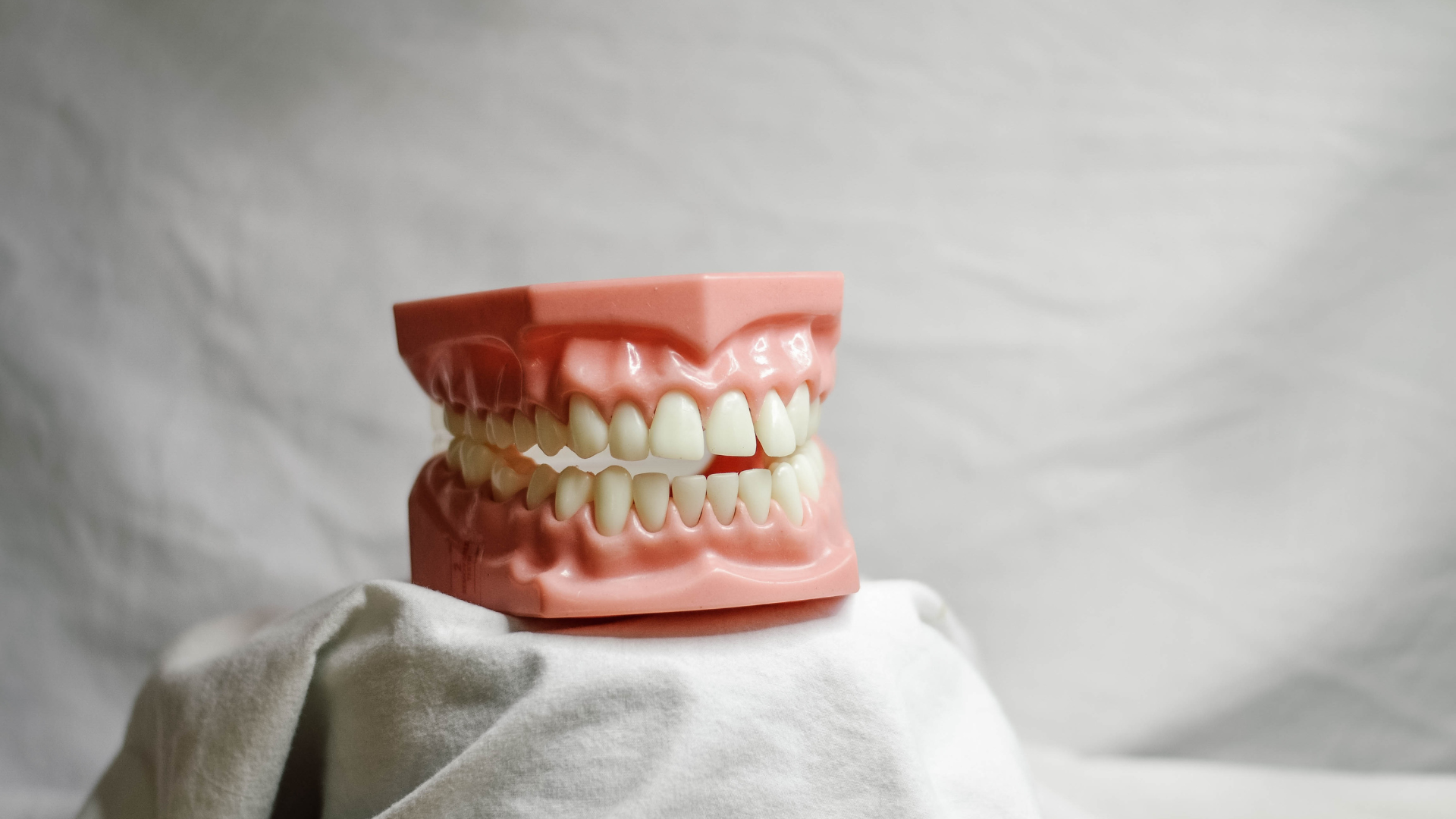 A model of a person 's teeth is sitting on a white cloth.