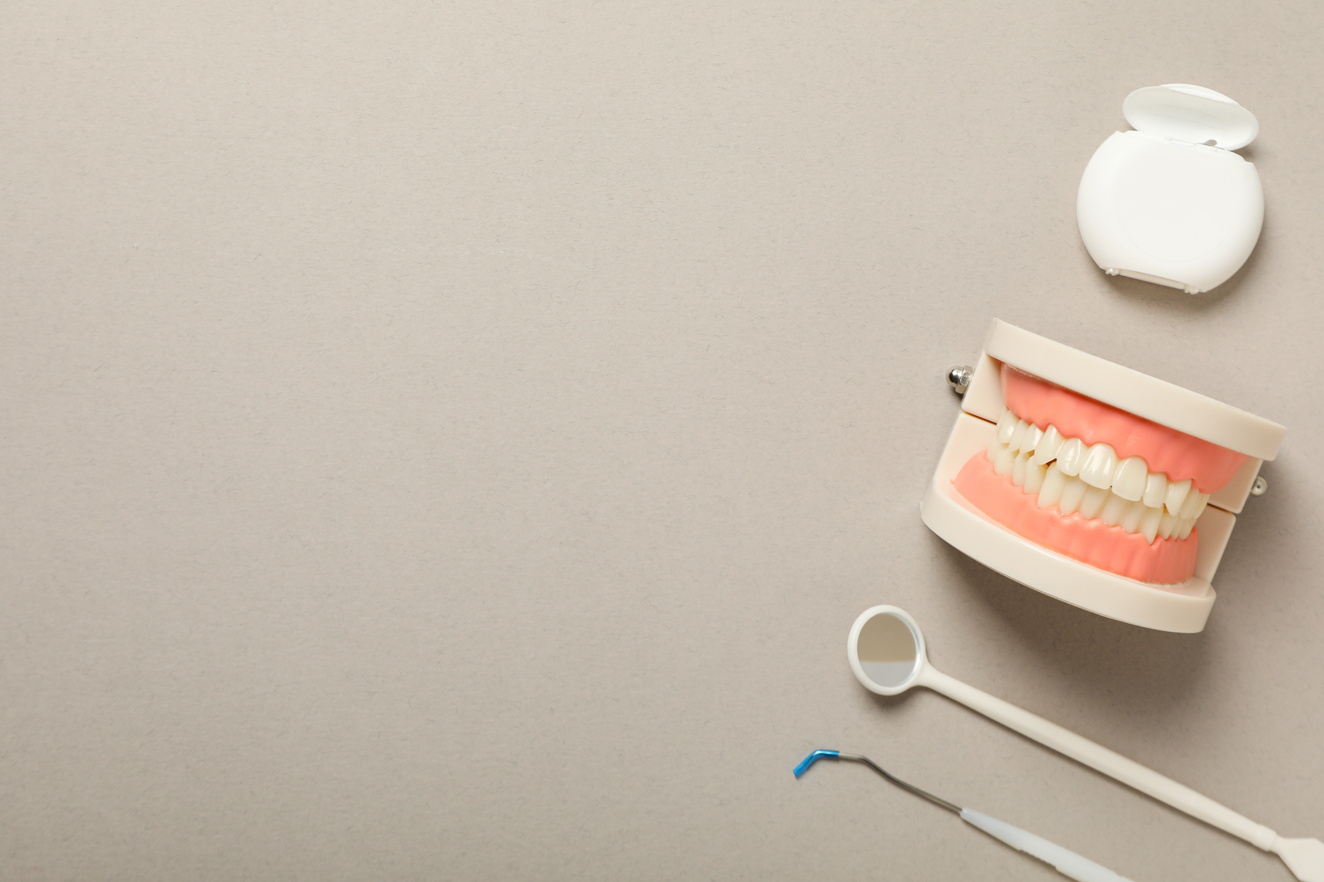 Dental model with teeth beside toothbrush and floss on a gray background