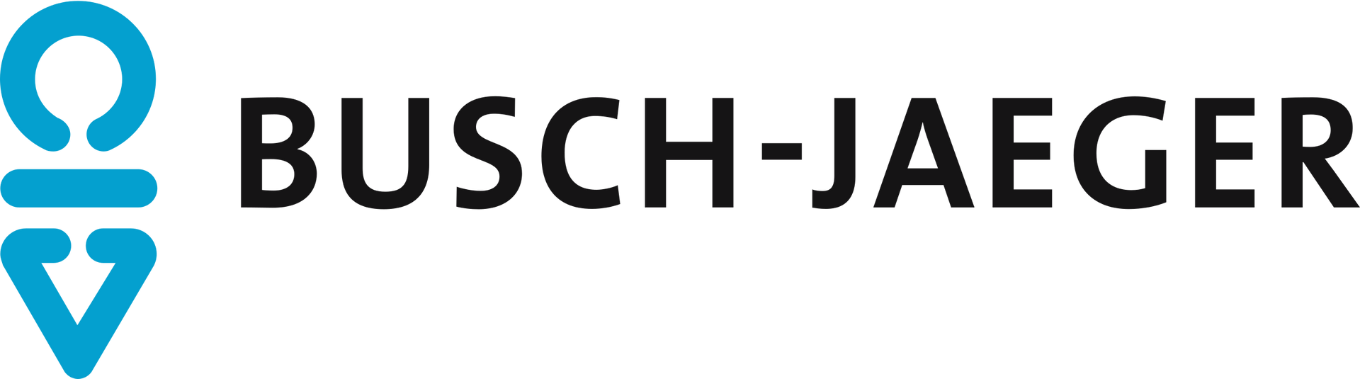 Busch-jaeger 1 van de vaste merken