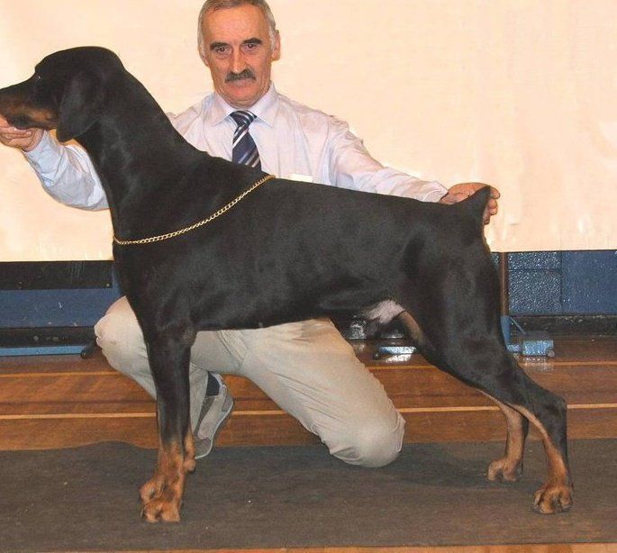 john & fritz