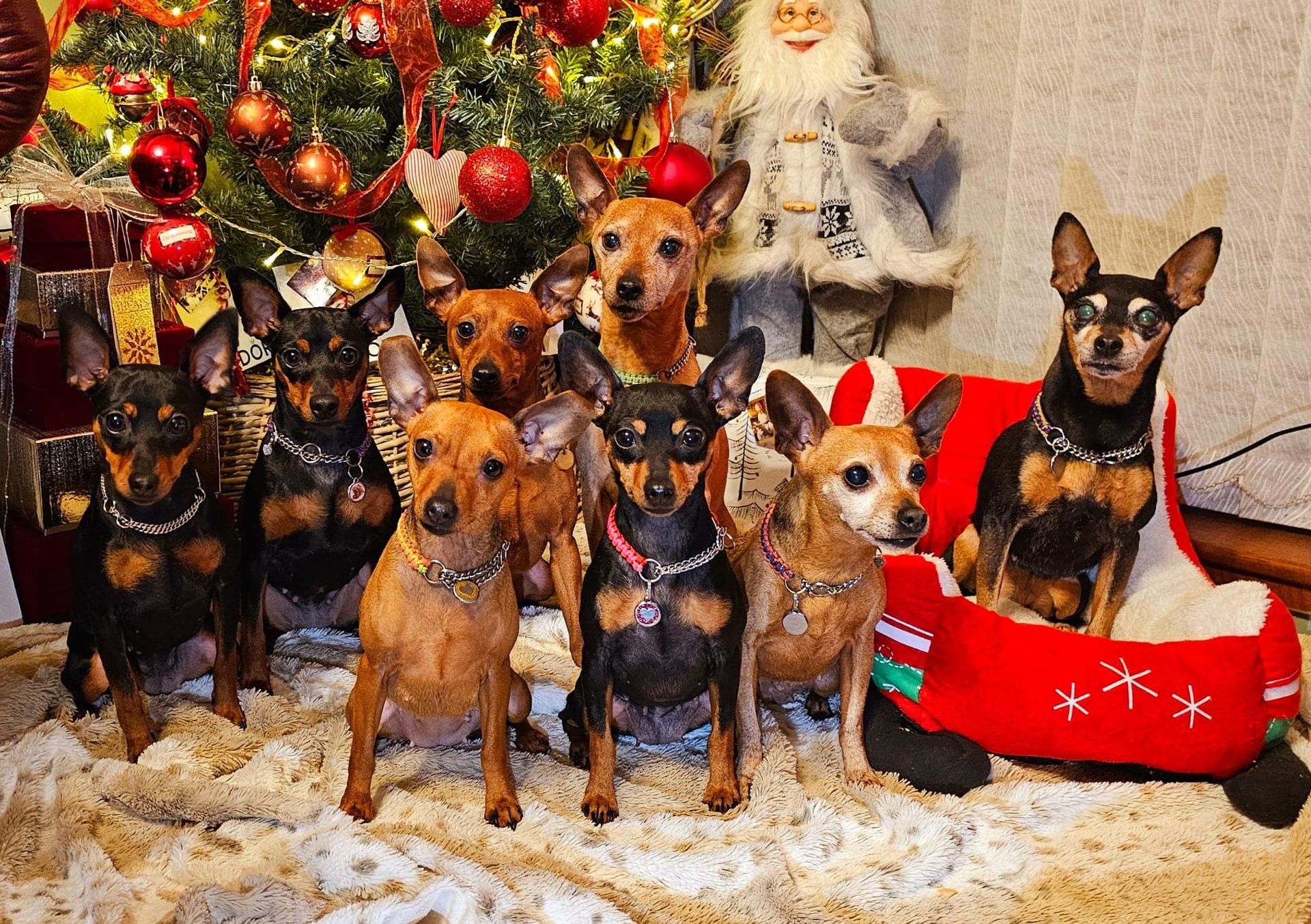 Min pins