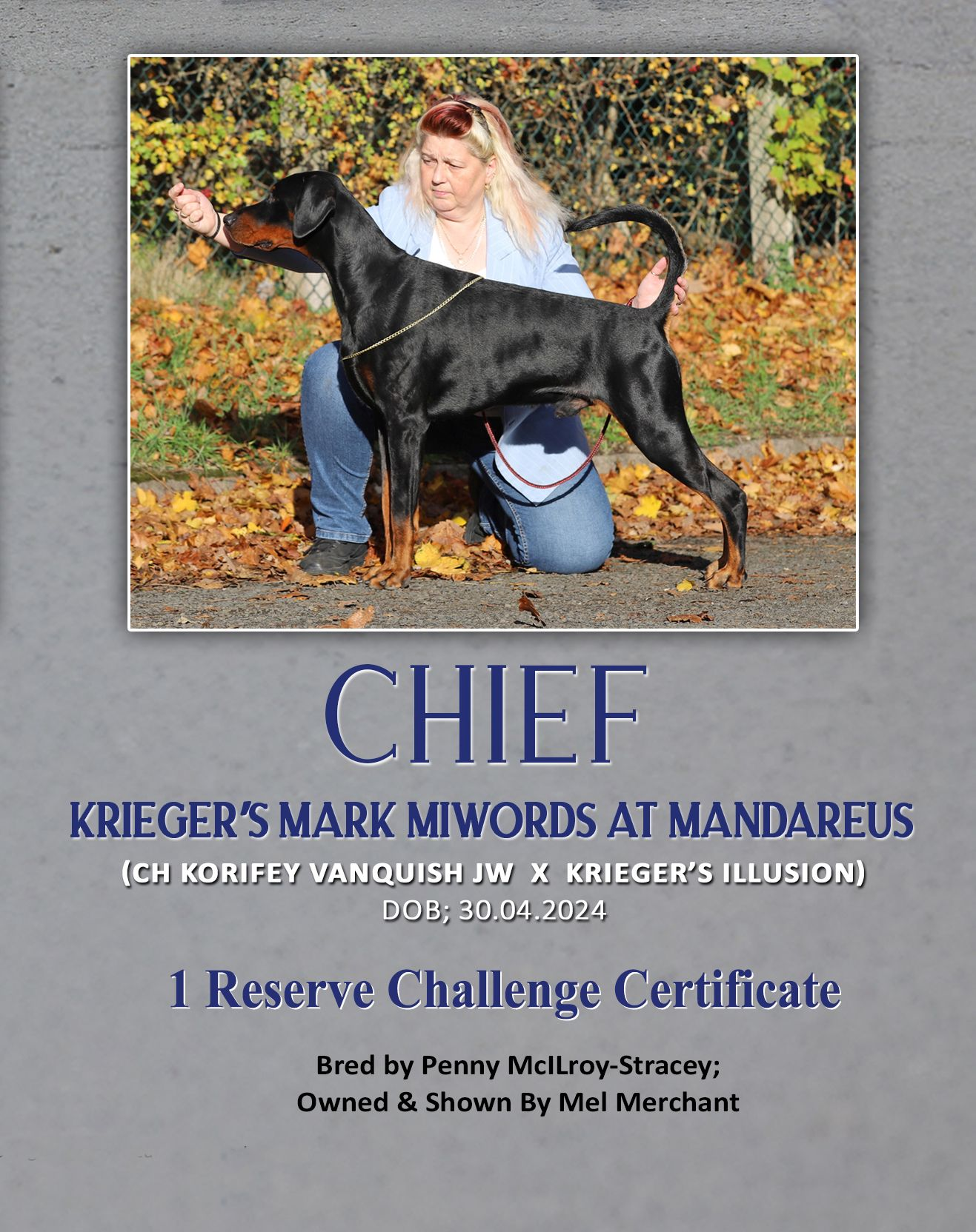 Chief