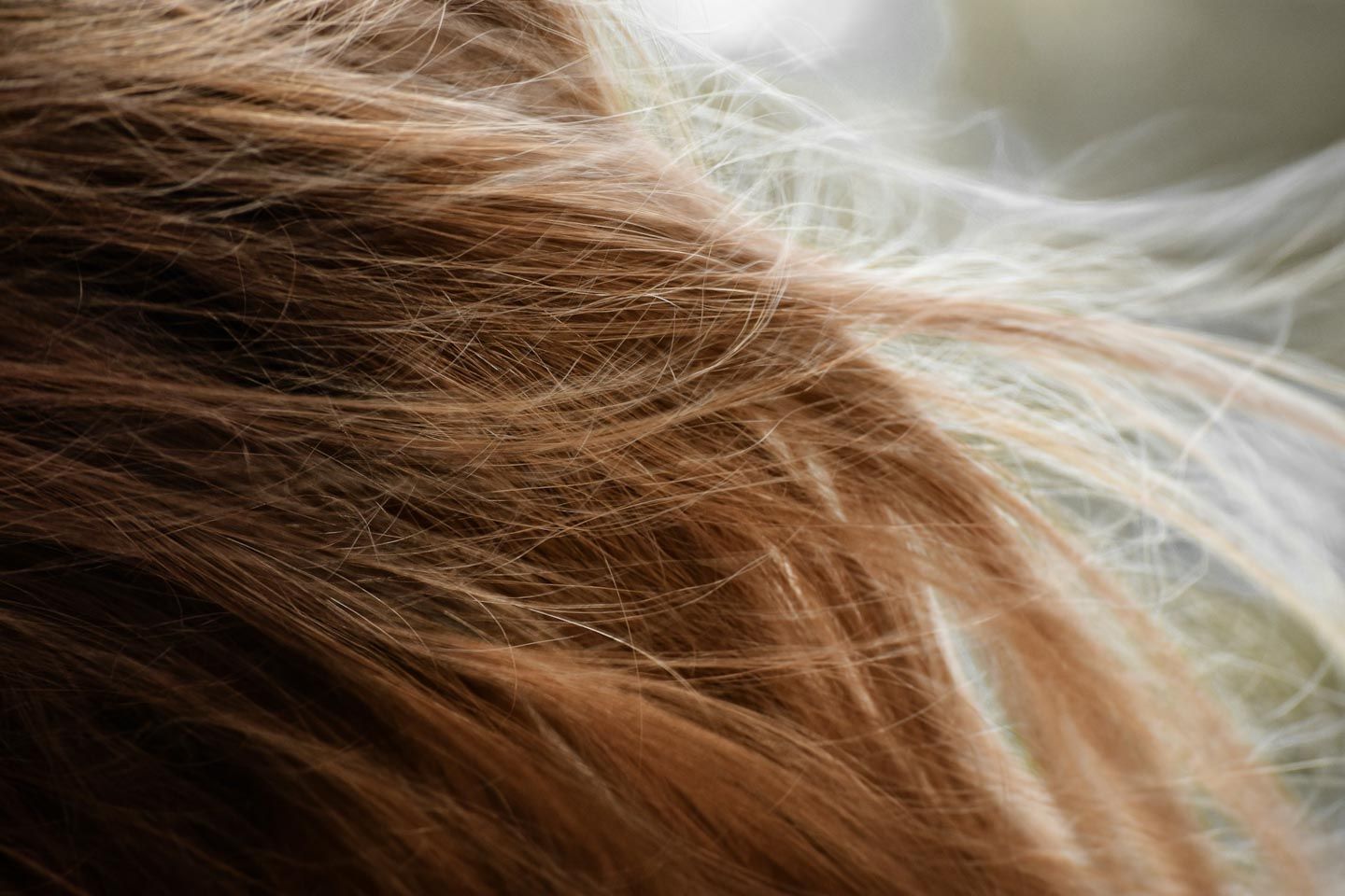 texture capelli
