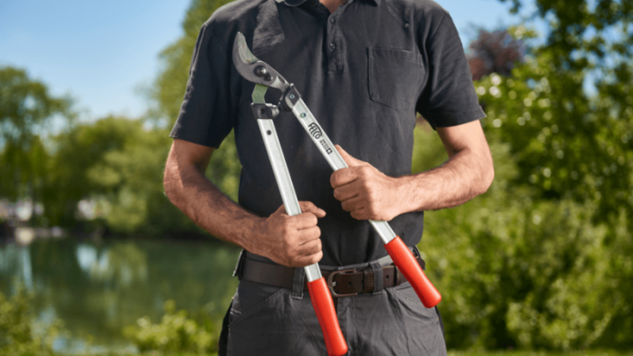 Conseils élagage estival outils AMR Greentech Jodoigne