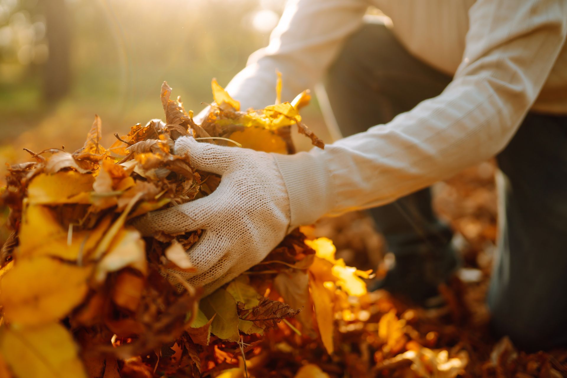 Comment entretenir son jardin en automne - amr greentech 