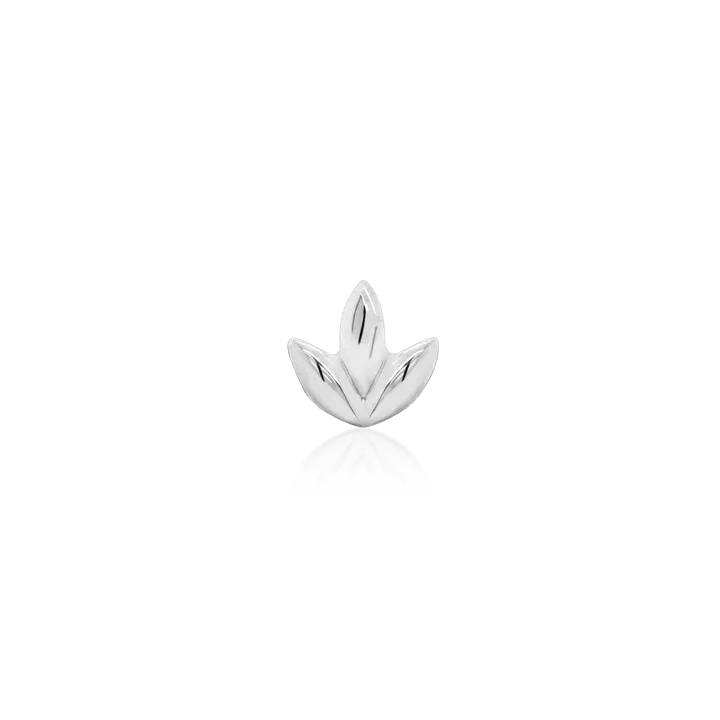 Dr. Bloom