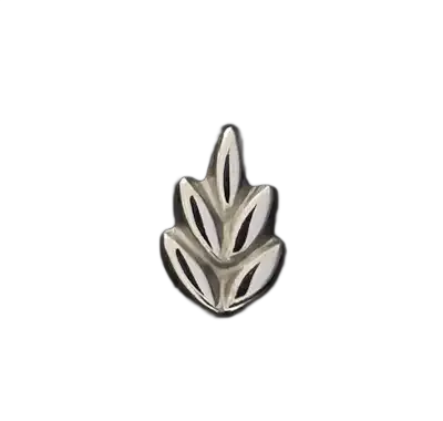 Fern