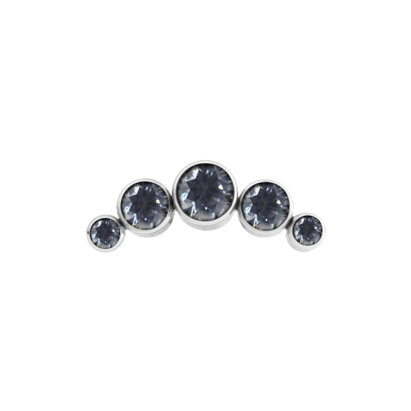 Cluster 5