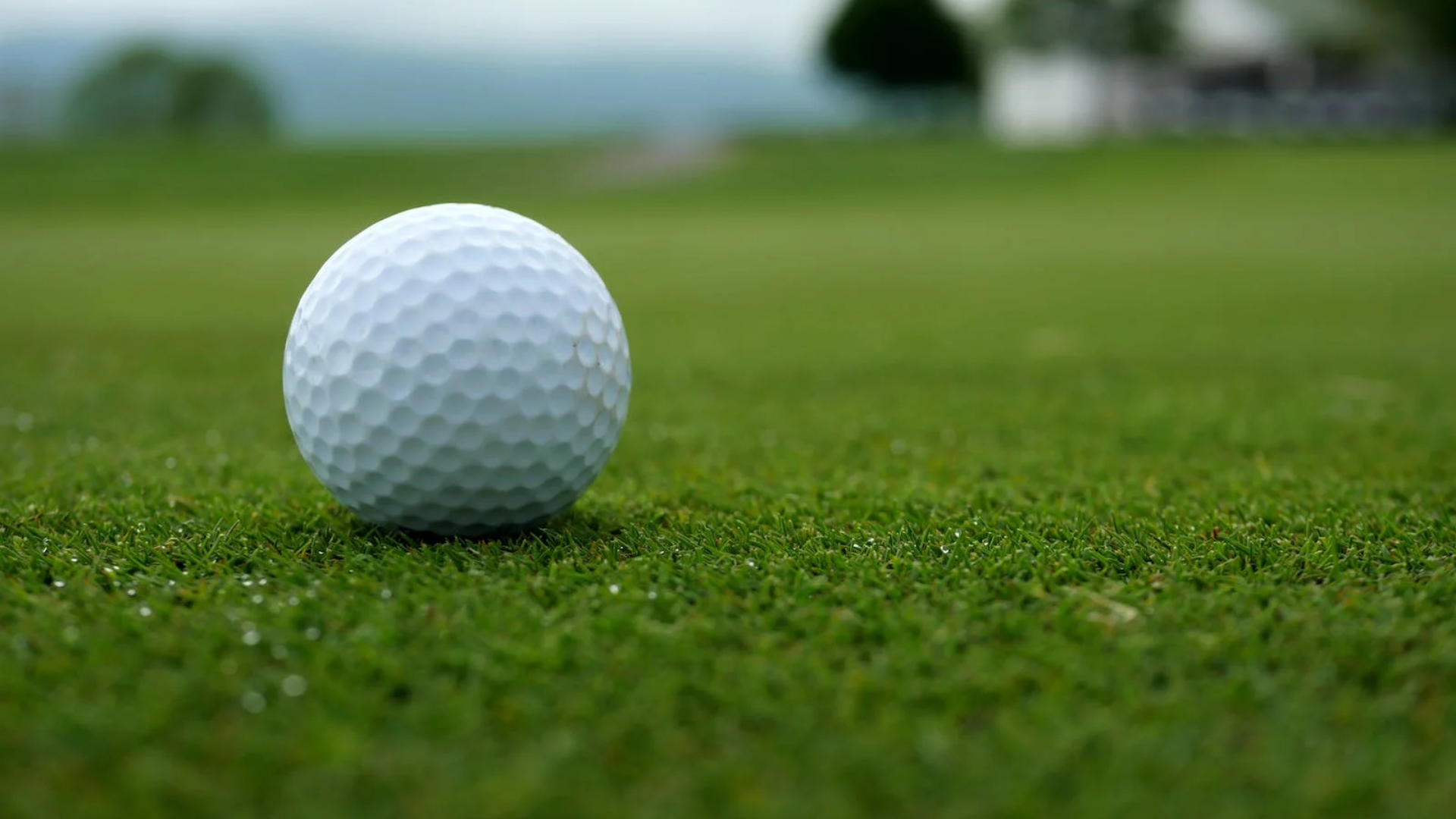 Golf ball on green grass with a blurred background of a golf course.