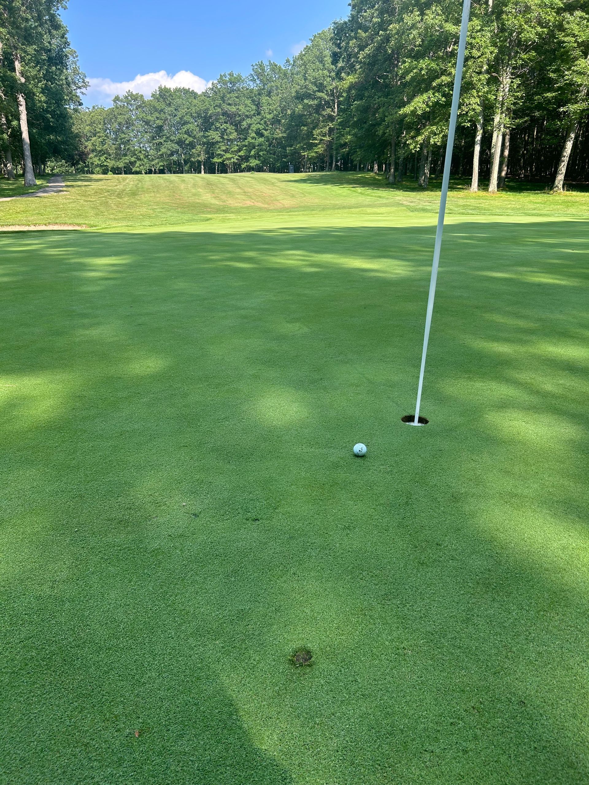 Golf green with a ball near the hole and flagstick, surrounded by grass and trees.