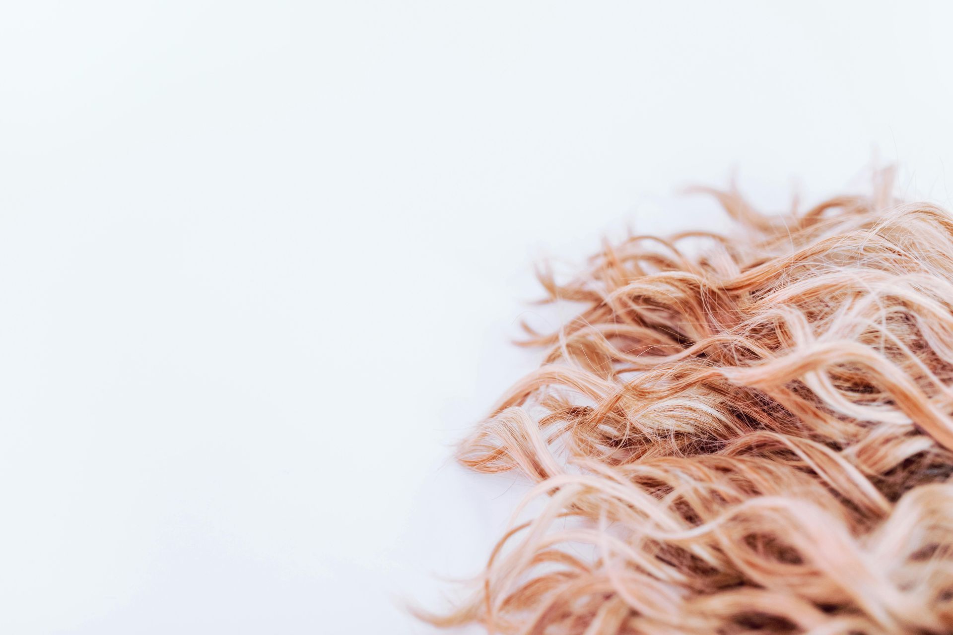 A close up of a pile of hair on a white background.