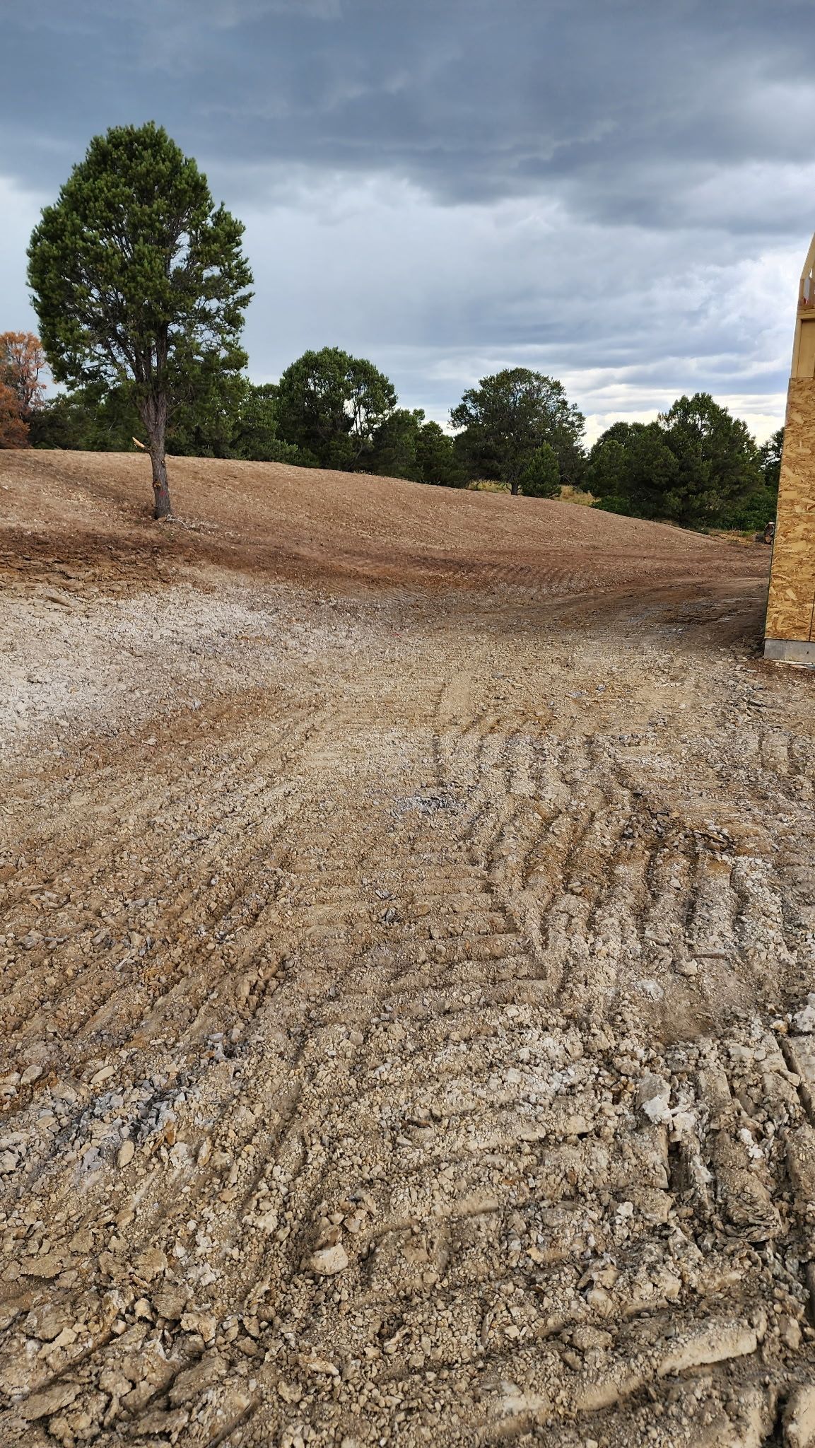 Cloudy rural landscape with a bare dirt field, scattered trees, and a gravel path in the foreground